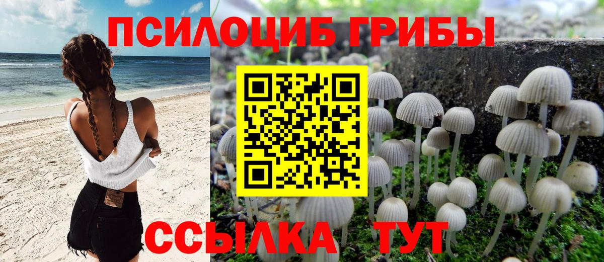 Галлюциногенные грибы MAGIC MUSHROOMS Обнинск